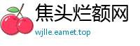 焦头烂额网